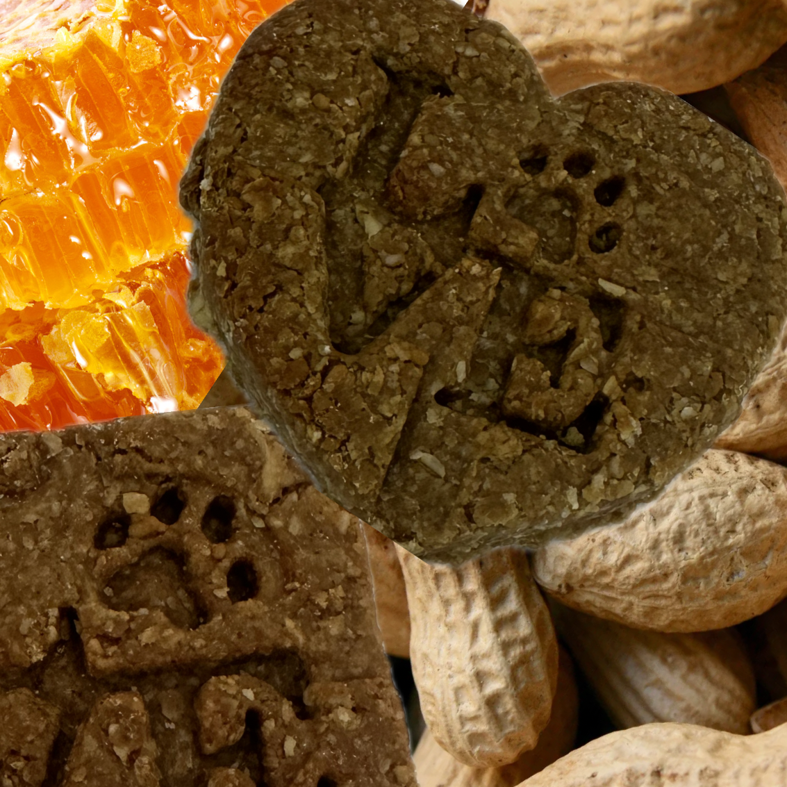 GOURMET DOGGY  BISCUITS.